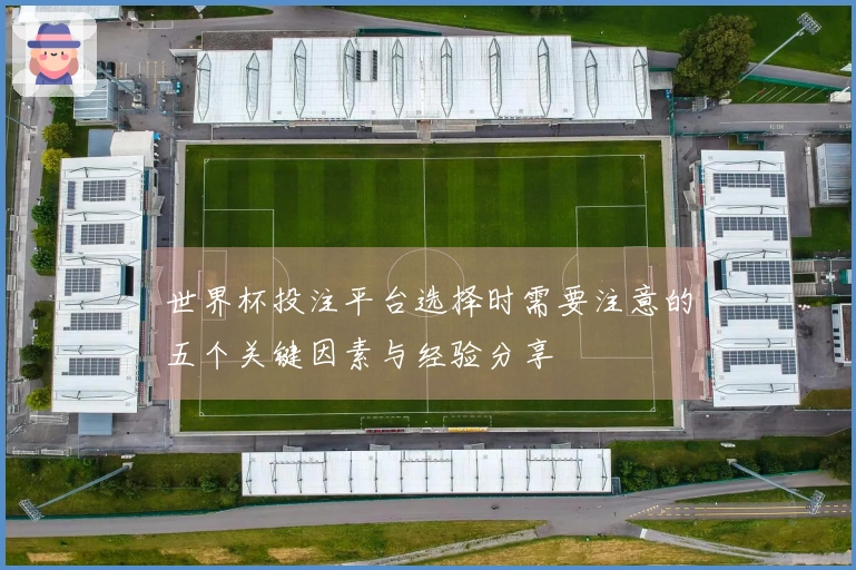 世界杯投注平台选择时需要注意的五个关键因素与经验分享