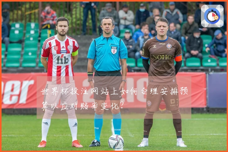 世界杯投注网站上如何合理安排预算以应对赔率变化？