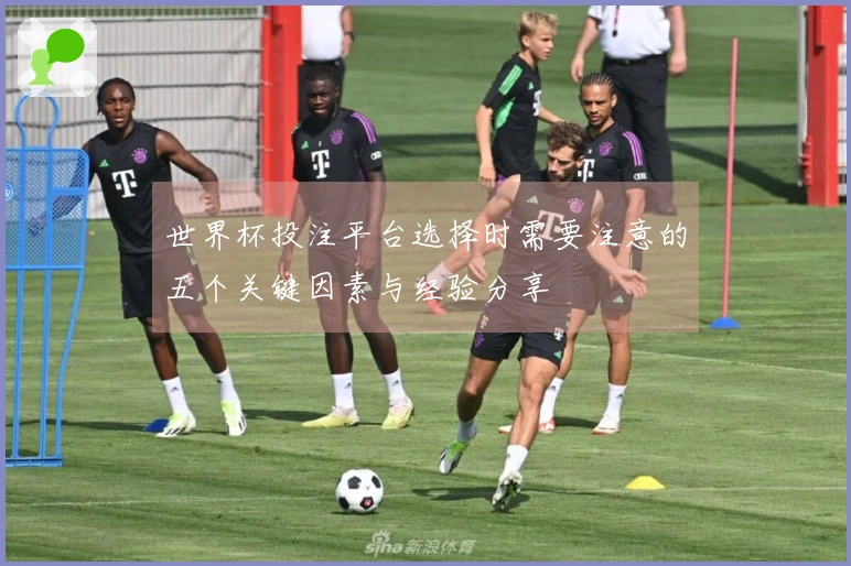 世界杯投注平台选择时需要注意的五个关键因素与经验分享