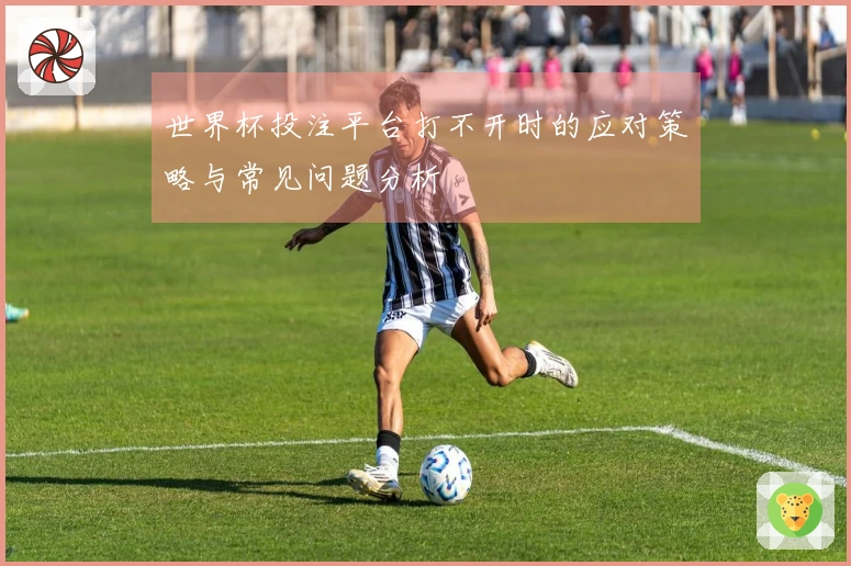 世界杯投注平台打不开时的应对策略与常见问题分析