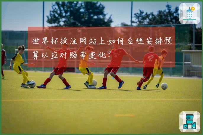 世界杯投注网站上如何合理安排预算以应对赔率变化？
