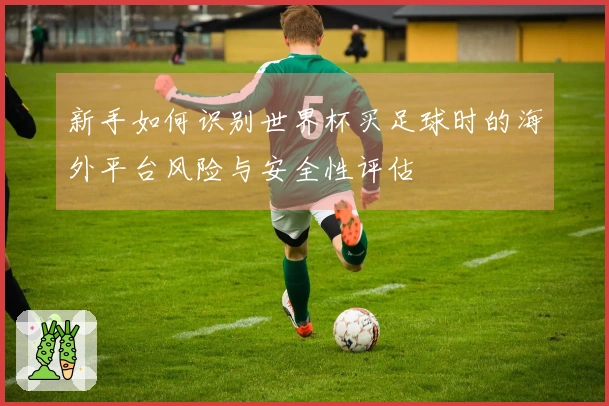 新手如何识别世界杯买足球时的海外平台风险与安全性评估
